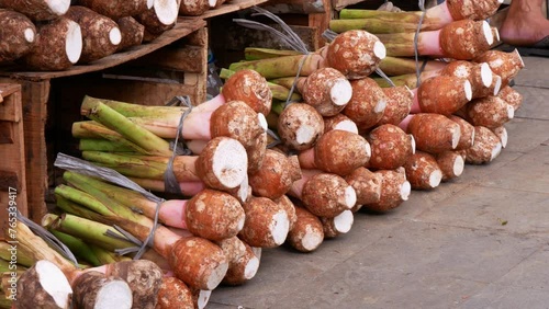 Talas Bogor (Colocasia esculenta) in the traditional market