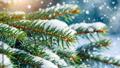 close up snow covered fir green branches and snowfall flakes christmas banner background