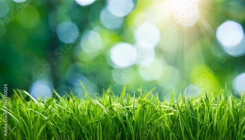 nature bokeh background green grass meadow lawn 3d rendering