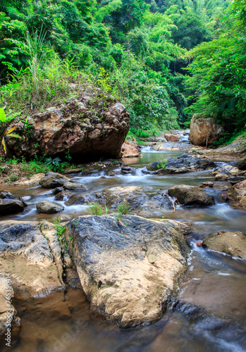 Mountain stream in green forest