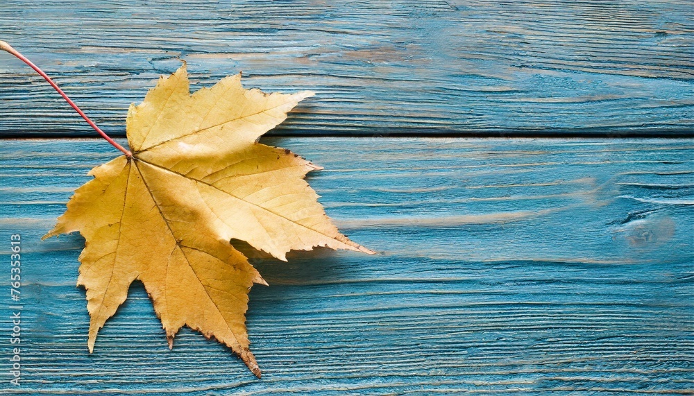 autumn birch leaf on a blue wooden background