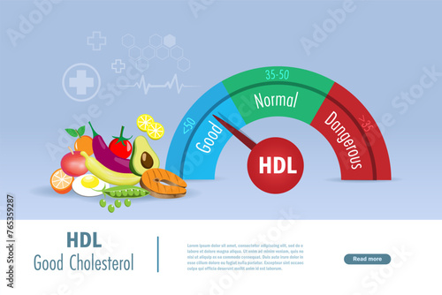 LDL Good Cholesterol scale in good, normal and dangerous level with healthy foods. Medical and health care concept. Vector.