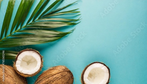 tropical background with copy space