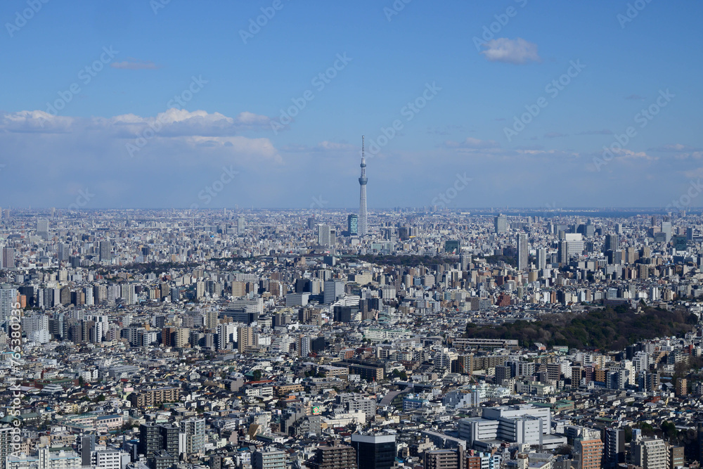 東京都内の高層ビルの展望台から東京市街地を撮影。東京スカイツツリーも遠方に見える。