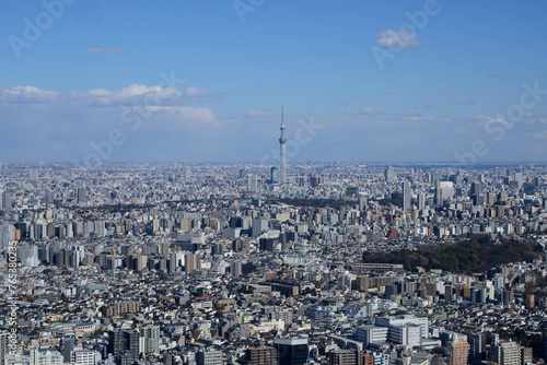 東京都内の高層ビルの展望台から東京市街地を撮影。東京スカイツツリーも遠方に見える。