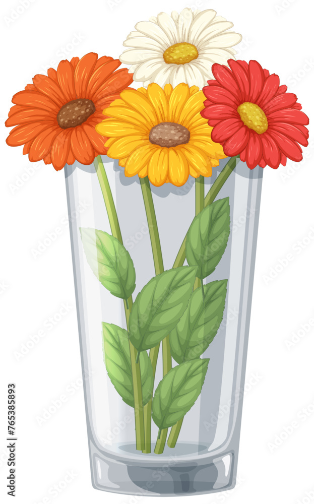 Fototapeta premium Three vibrant daisies arranged in a clear vase