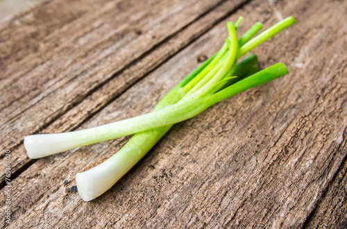 Fresh green onions on old wooden background