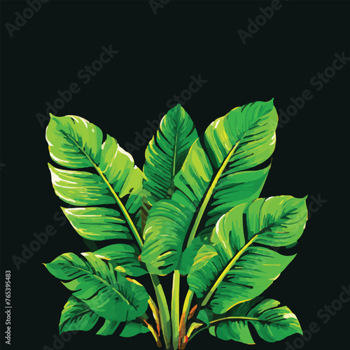 leaf nature vector