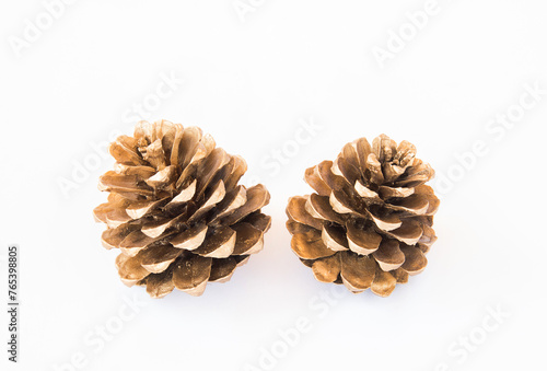 Close up gold pine cones on white background