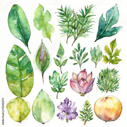 Watercolor Panel Illustration