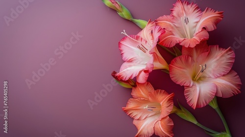 Pink Flowers on Purple Background