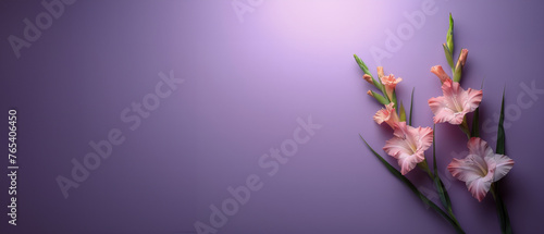 Pink Flowers on Purple Background
