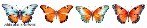 Watercolor set butterfly clipart isolated on transparent background 