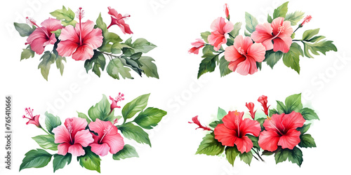 Hibiscus branches with green leaves watercolor illustration. Flat vector illustration isolated on white background