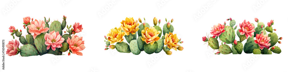 Cactus Flower branches with green leaves watercolor illustration. Flat vector illustration isolated on white background