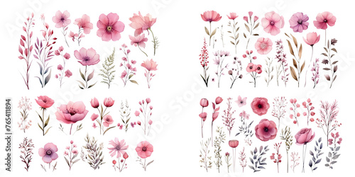 Fototapeta Naklejka Na Ścianę i Meble -  pink watercolor arrangements with flowers, set, bundle, bouquets with wildflowers, leaves, branches. Botanical illustration
