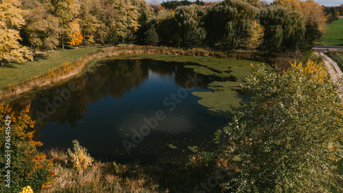Fototapeta Naklejka Na Ścianę i Meble -  Pond on horse property in the midwest
