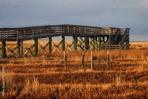 Fotografía A birdwatching walkway in Maryland's Blackwater Wildlife Refuge.