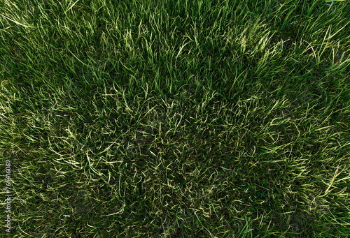 Green grass texture background for golf course.