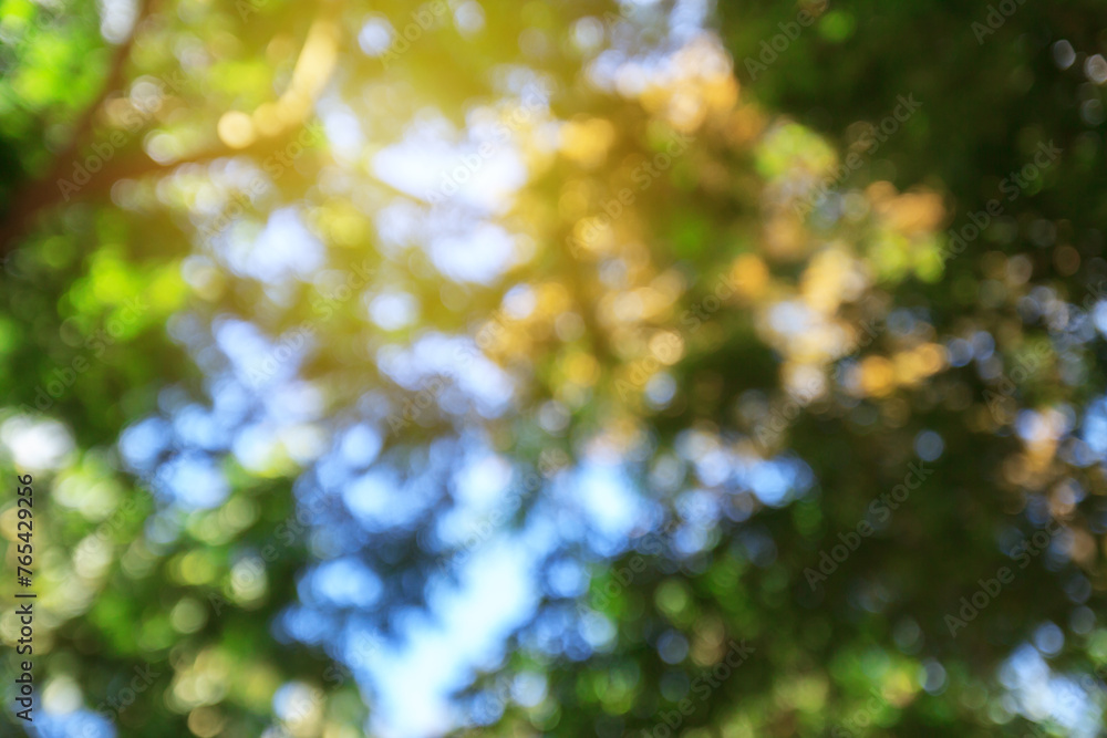 Green bokeh abstract background and texture Green bokeh abstract background and texture
