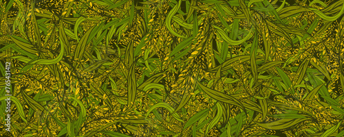 rice plant pattern background vector illustration