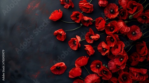 Red poppies on black background. Remembrance Day