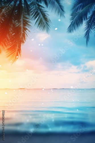Palm leaves on the background of the sunset and the sea
