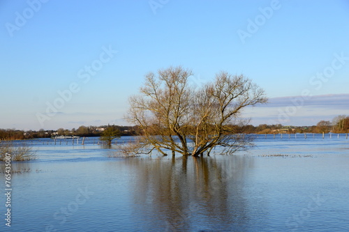 Flood in Winter at the River Aller in the Village Hodehagen, Lower Saxony