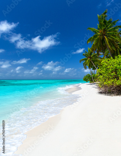 beautiful white sandy beach and palm trees, maldives © Sakis  Papadopoulos 