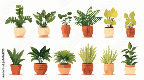  Home Plants Potted Flat vector isolated on white background