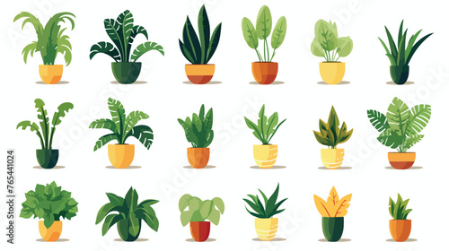  Home Plants Potted Flat vector isolated on white background