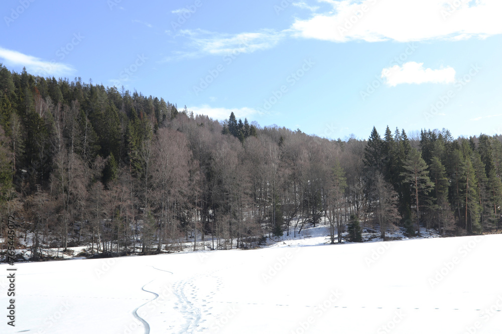 Winter Winter
