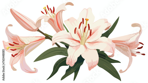 Lokii34 vintage lily flower Flat vector isolated on white background