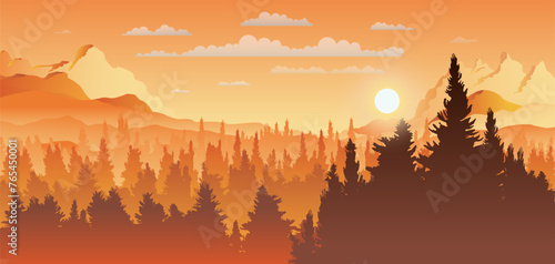 Vector panoramic landscape of forest in sunset with silhouettes of pine trees. photo