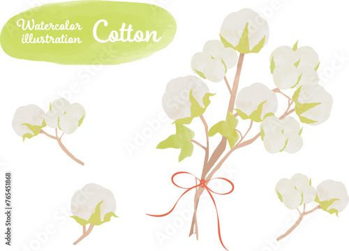 綿花・コットンのイラスト