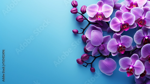 Orchid with solid color background and empty copy space
