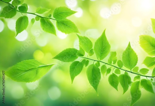 green leaves background