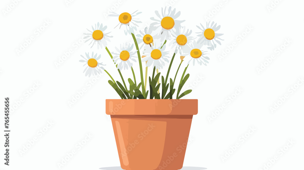 Daisy in Flower Pot flat vector isolated on white background