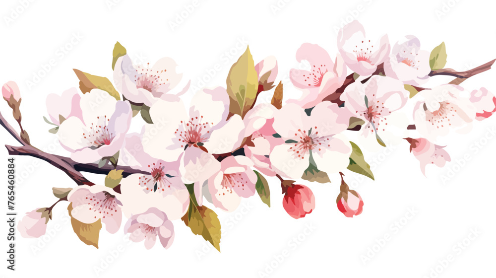 Cherry blossomSakurawhite flowers bouquet.Watercolor