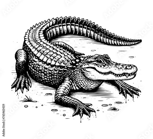 american alligator hand drawn vector illustration