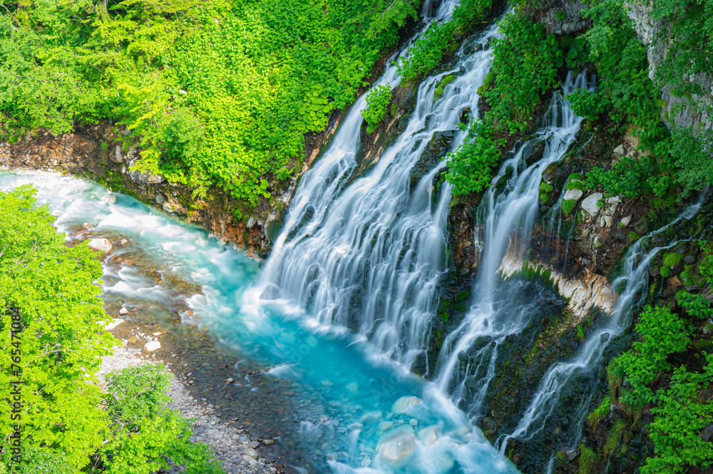 Obraz premium 白ひげの滝