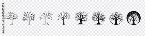 Dry tree icon set  black tree without leaves on white background  trees with roots  trees silhouettes set.
