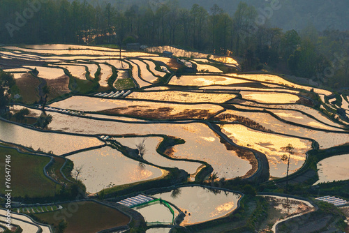 Close up view of rice terraces - China, Unesco World Heritage Site