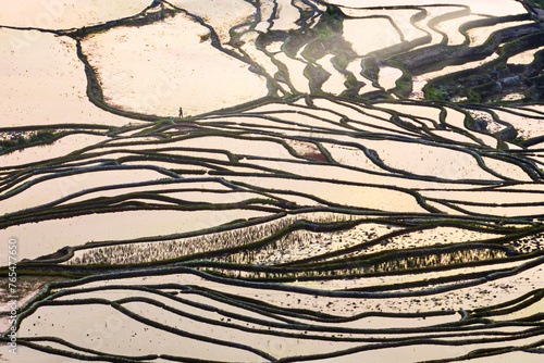 Close up view of rice terraces - China, Unesco World Heritage Site