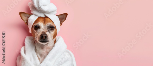 Playful dog in a white robe against a soft pink background enjoying a spa-like experience © Daniel