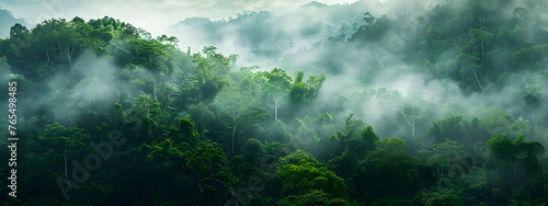 Panoramic view of misty rainforest trees with fog and rays, showcasing the natural beauty of a lush tropical rainforest canopy. Drone view with copy space.