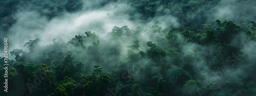 Panoramic view of misty rainforest trees with fog and rays, showcasing the natural beauty of a lush tropical rainforest canopy. Drone view with copy space.