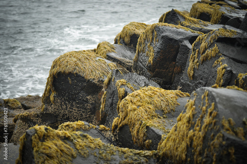 Überwachsene Steine an der irischen Küste © toby.cerry