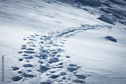 Fussabdrücke in der winterlichen Landschaft