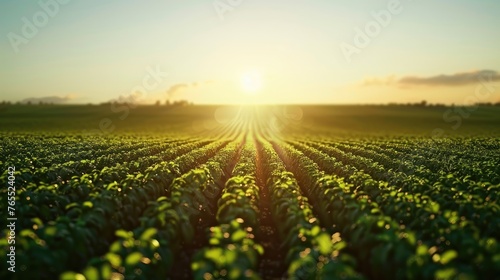 Sustainable Agriculture: Lush Soybean Field with Row Pattern Leading to Horizon at Sunrise - AI generated
